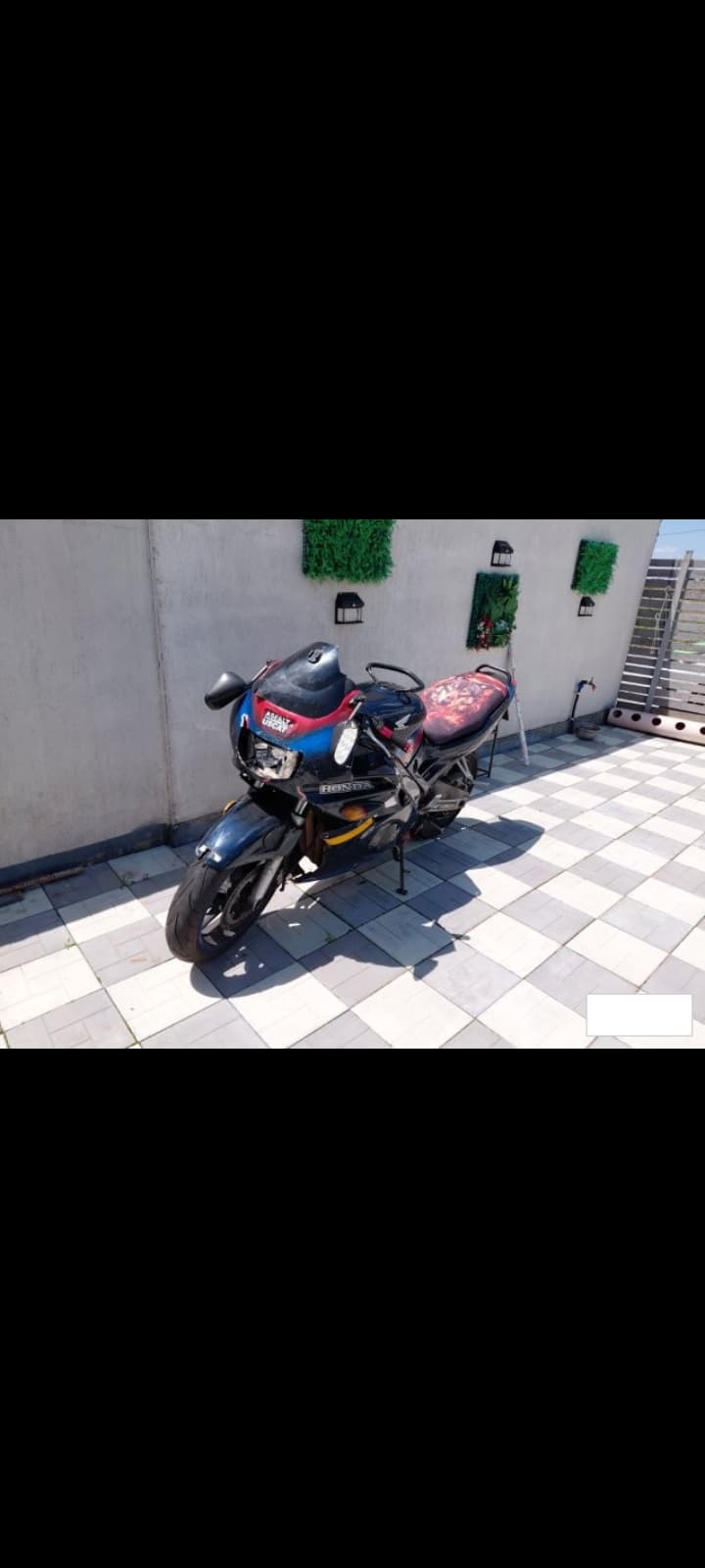 Honda CBR 600 RR 1994 - 1