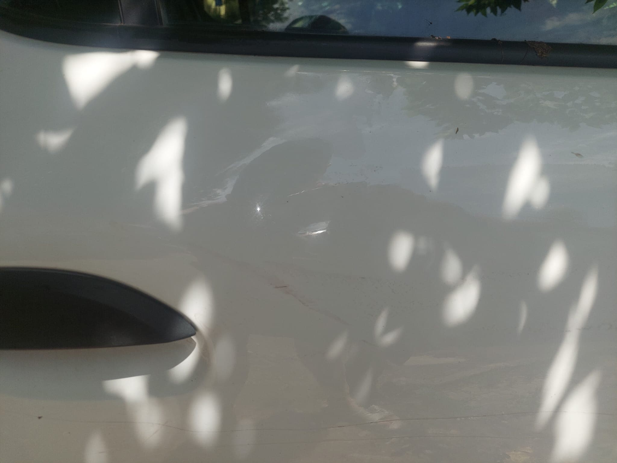 Dacia Sandero 2020 thumb 2